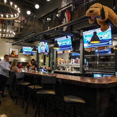 Photo of Lazy Dog Bar & Grill